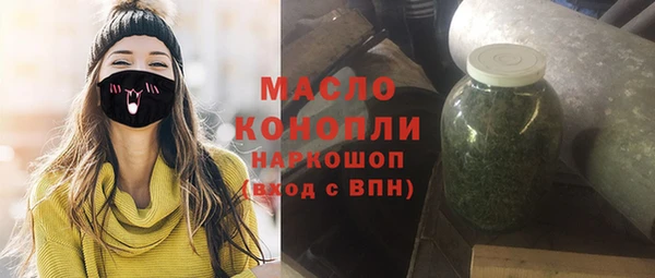 шишки Гусиноозёрск