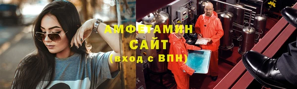 шишки Гусиноозёрск