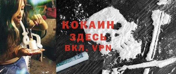 шишки Гусиноозёрск