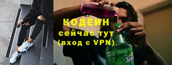 шишки Гусиноозёрск
