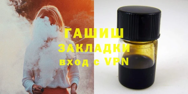 шишки Гусиноозёрск