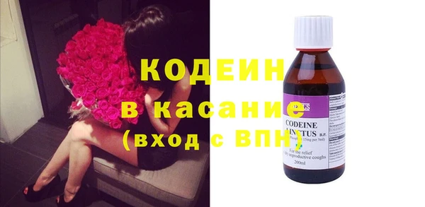 шишки Туринск