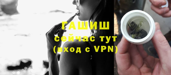 шишки Гусиноозёрск