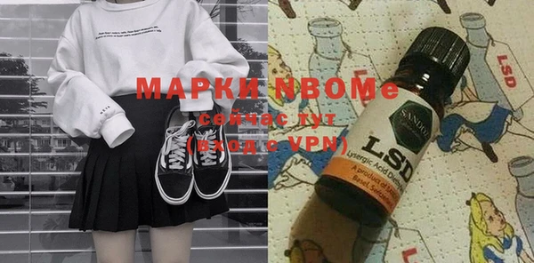 шишки Гусиноозёрск