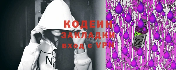 шишки Гусиноозёрск