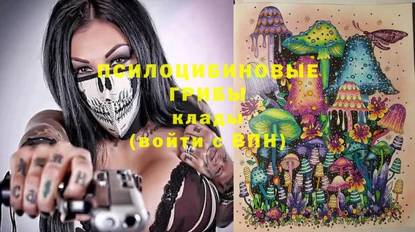 шишки Гусиноозёрск
