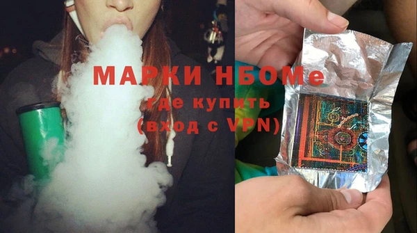 шишки Гусиноозёрск