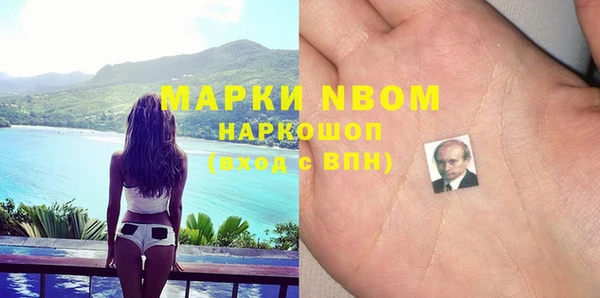 шишки Гусиноозёрск