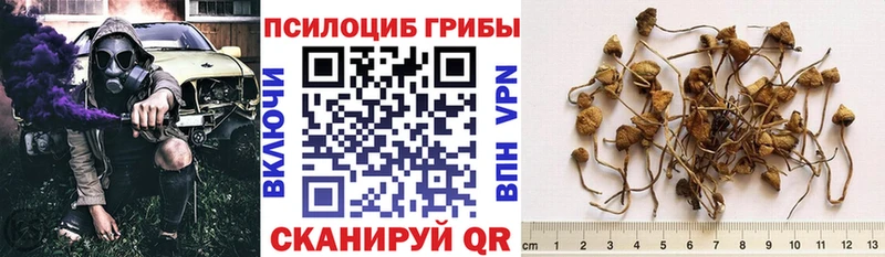 Галлюциногенные грибы мицелий магазин Чегем